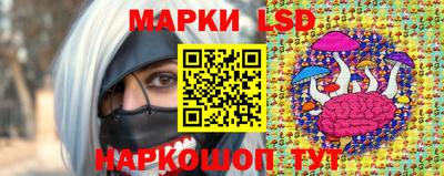 кокс Можга