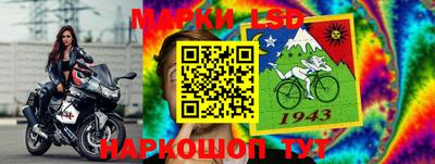 кокс Можга
