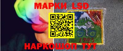 кокс Можга