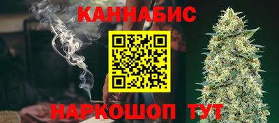 крисы Моздок