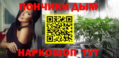 крисы Моздок