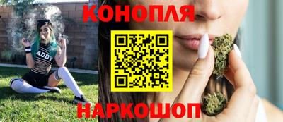крисы Моздок