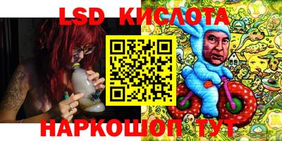 кокс Можга
