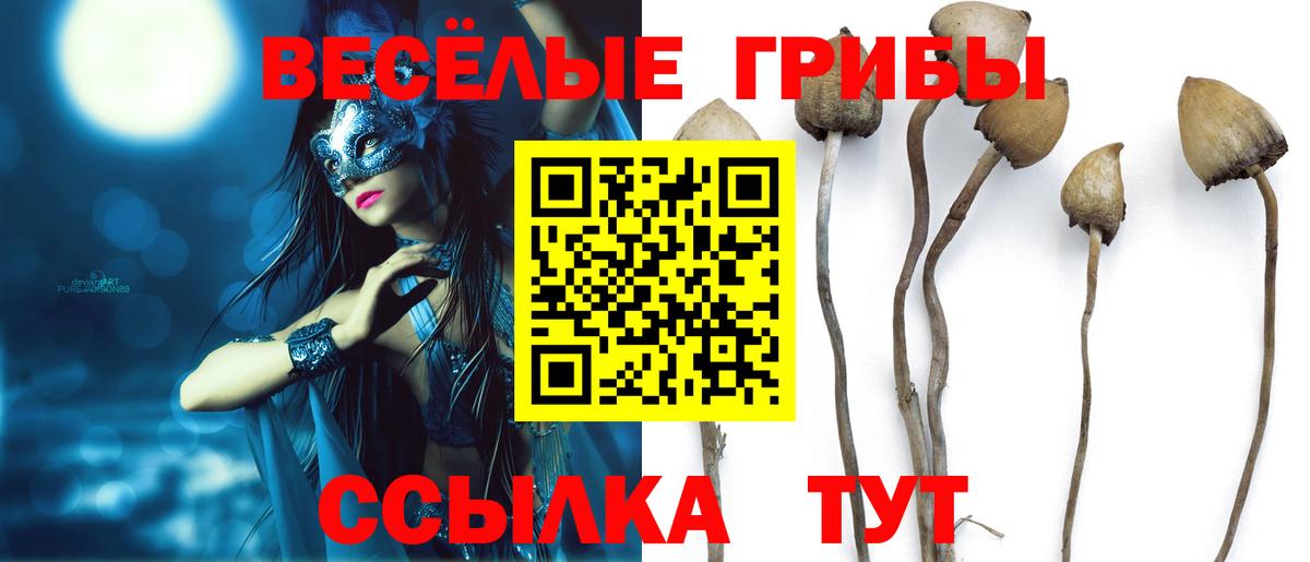 Джанкой  Псилоцибиновые грибы ЛСД  Вход с VPN 